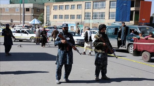 4 Women, Including Activist, Killed In Afghanistan: Taliban