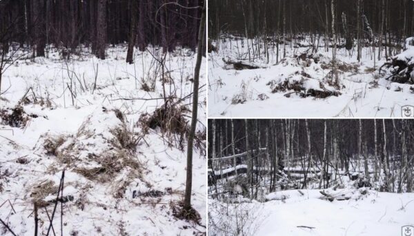 Ukraine Military Shares Photo Of Sniper Hiding In Plain .