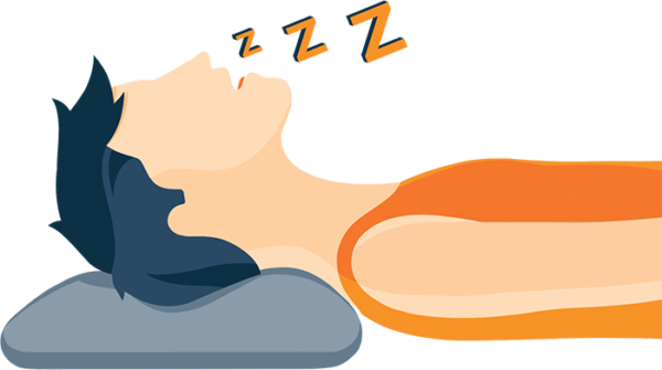 wellhealthorganic.com: Home Remedies to Combat Snoring easily