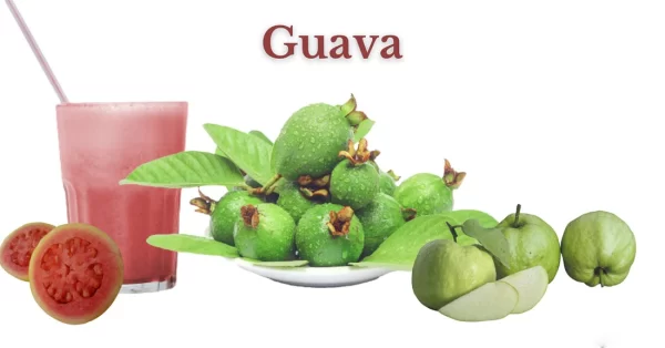 Wellhealthorganic.com: 5 Amazing Health Benefits of Guava