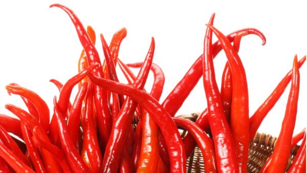 Red chilli you should know about red chilli uses benefits side effects