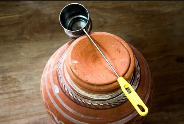 Top Benefits drinking of water from an earthen pot